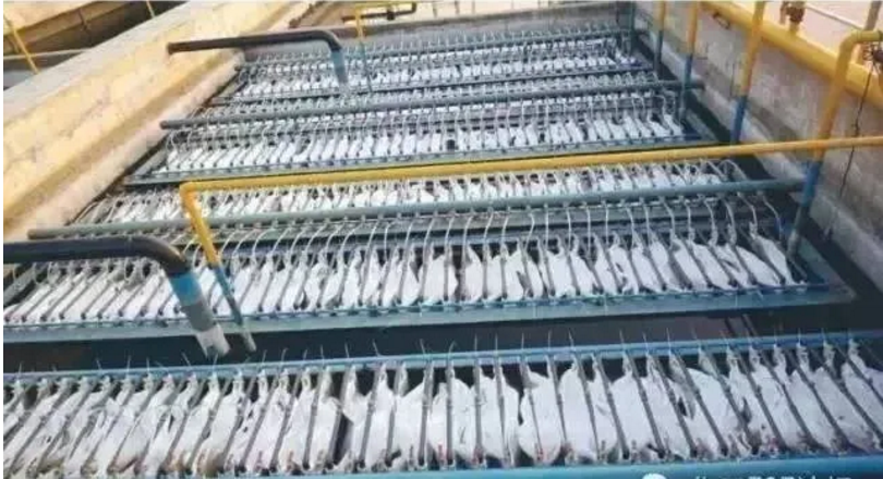 1607915855212928.png 圖片.png