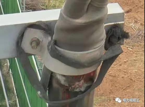 1638679741885401.jpg 微信圖片_20211205124655.jpg